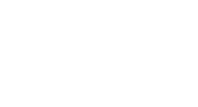 CPX Logo